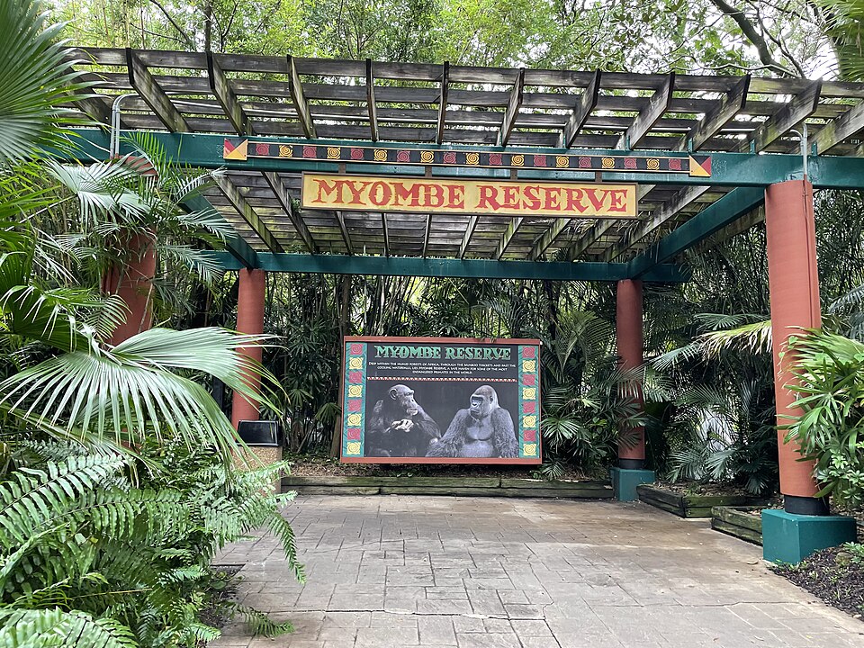 busch gardens myombe reserve 1