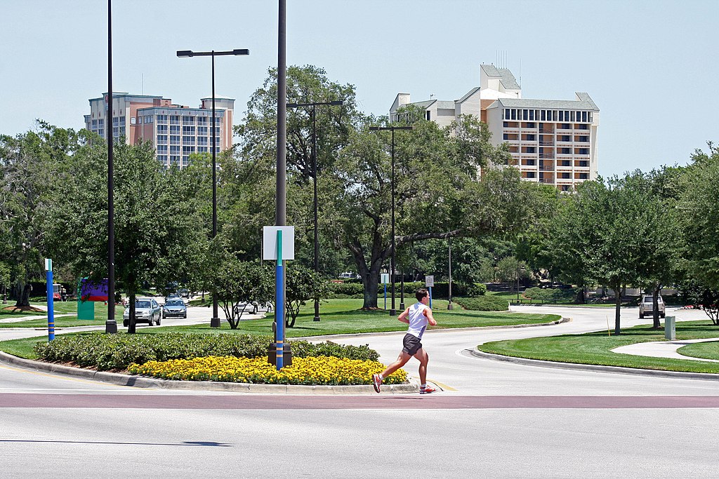 lake buena vista image