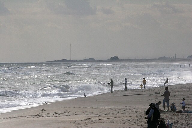 A scenic view of Playalinda Beach at Canaveral National Seashore, one of the top Space Coast attractions, featuring unspoiled sandy shores, rolling dunes, and the blue waters of Florida’s Space Coast.